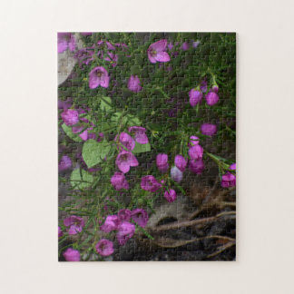 Quebra-cabeça Jardim Roxo – Uma Flor em Foco