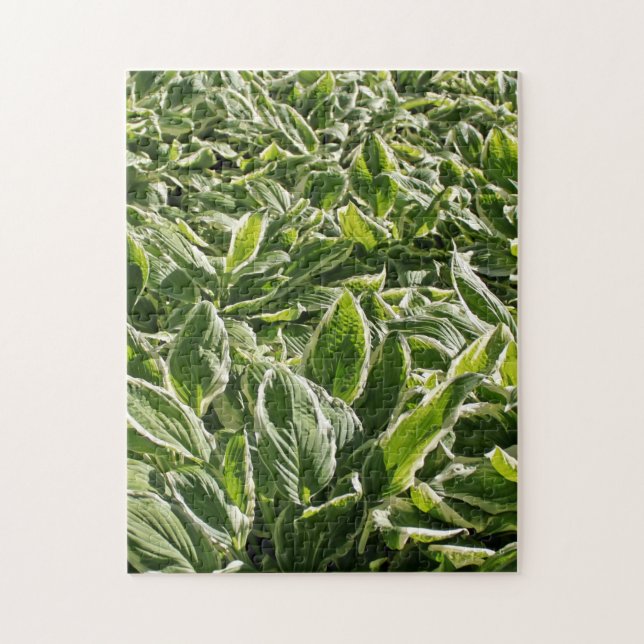 Quebra-cabeça Jardim Verde Hosta White Plantas Verão Primavera L (Vertical)