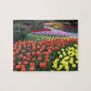Quebra-cabeça Jardins da tulipa