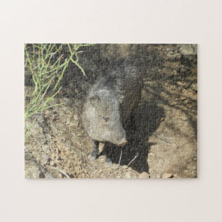 Quebra-cabeça Javelina