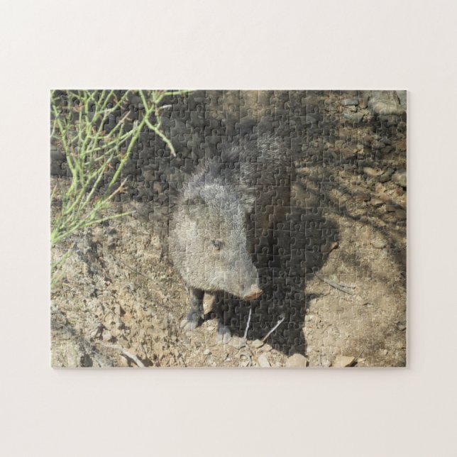 Quebra-cabeça Javelina (Horizontal)