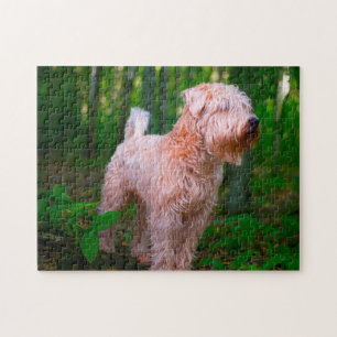 Quebra-cabeça Jigsaw do Cão Terrier Wheaten.