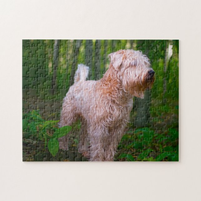 Quebra-cabeça Jigsaw do Cão Terrier Wheaten. (Horizontal)