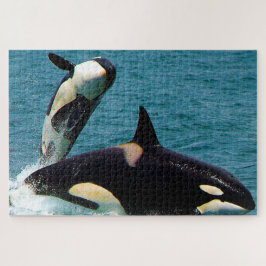 Quebra-cabeça Jigsaws Orcas ou Baleias Assassinas