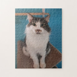 Quebra-cabeça Jigsera do Gatinho bonito