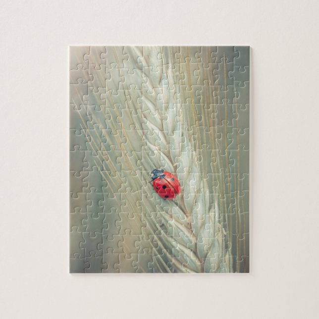 Quebra-cabeça Joaninha (Vertical)