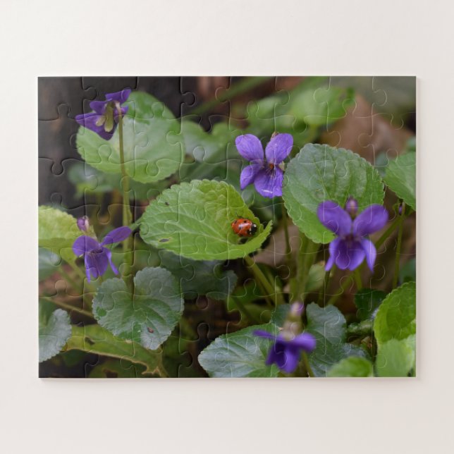 Quebra-cabeça Joaninha em Flores de Violeta Doce (Horizontal)