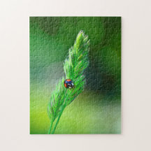 Joaninha preta a caminho....