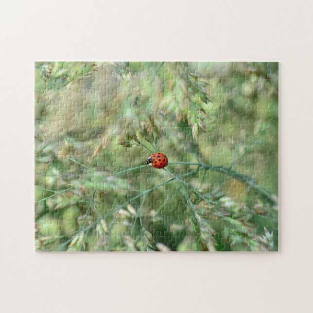 Quebra-cabeça Joaninhas a caminho.... (Horizontal)