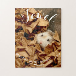 Quebra-cabeça Joel de Hamster Bonito