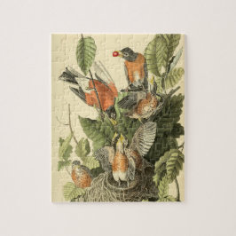 Quebra-cabeça John James Audubon American Robin Painting Gift