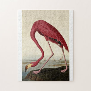 Quebra-cabeça John James Audubon - Flamingo Americano