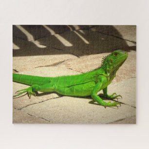 Quebra-cabeça Jovem Verde Iguana no Caminho do Rock