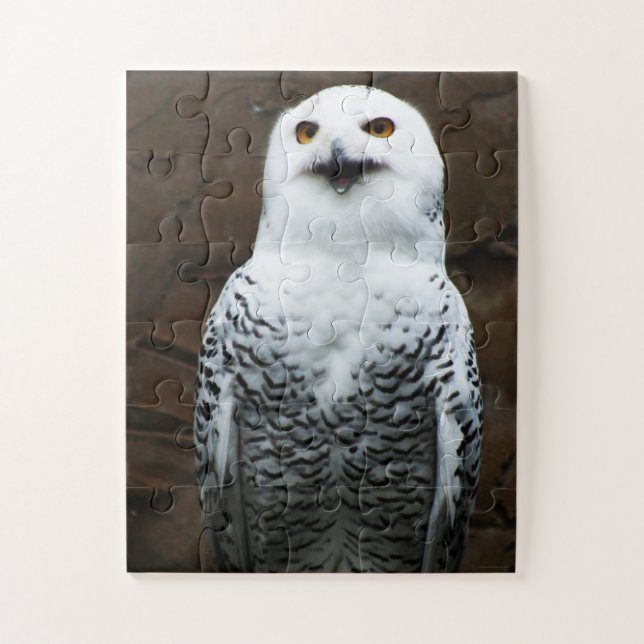 Quebra-cabeça Jpcna Snowy Owl 11x14 30pc (Vertical)