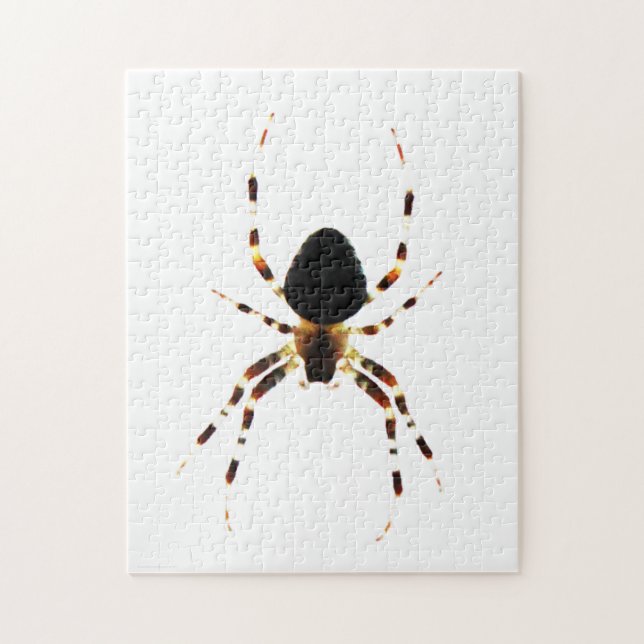 Quebra-cabeça jpcna Spider 11x14 252pc (Vertical)