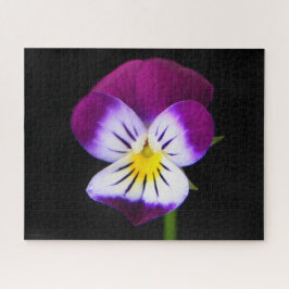 Quebra-cabeça jpcnm violet Flower 16x20 520pc