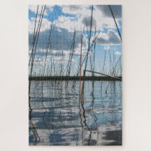 Juncos no Rice Lake – Península Superior