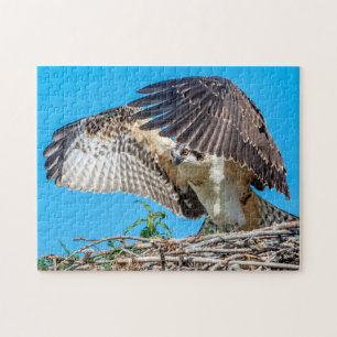 Quebra-cabeça Juvenil Osprey no ninho