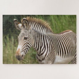 Quebra-cabeça Juvenile Zebra