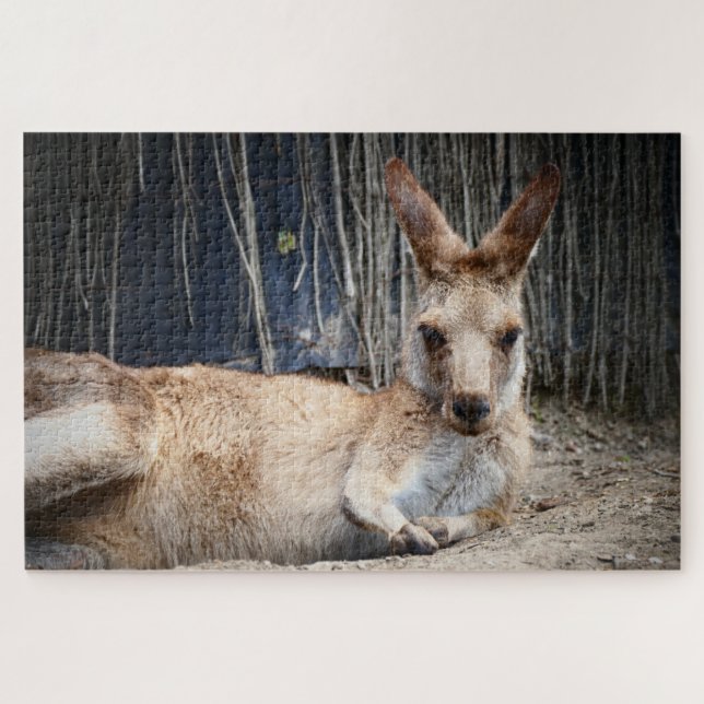 Quebra-cabeça Kangaroo (Horizontal)