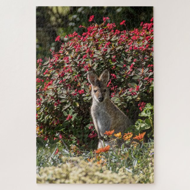 Quebra-cabeça Kangaroo (Vertical)
