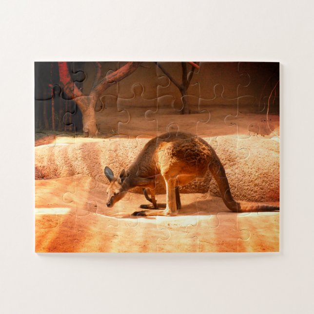 Quebra-cabeça Kangaroo (Horizontal)
