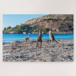 Quebra-cabeça Kangaroo standoff on the beach, 1014 pieces