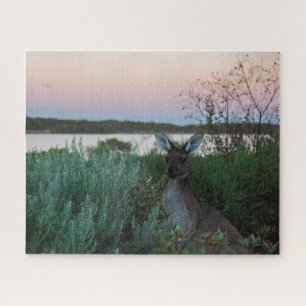 Quebra-cabeça Kangaroo Sunset no lago da Austrália, 520 peças