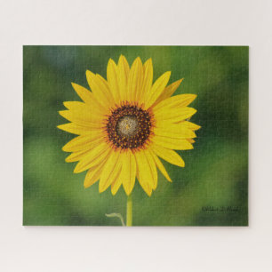 Quebra-cabeça Kansas Sunflower
