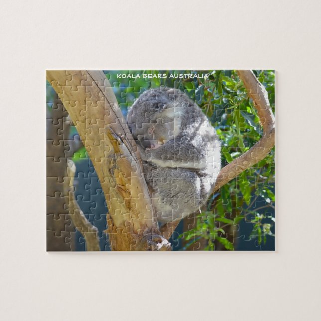 Quebra-cabeça Kaola Bears Austrália (Horizontal)