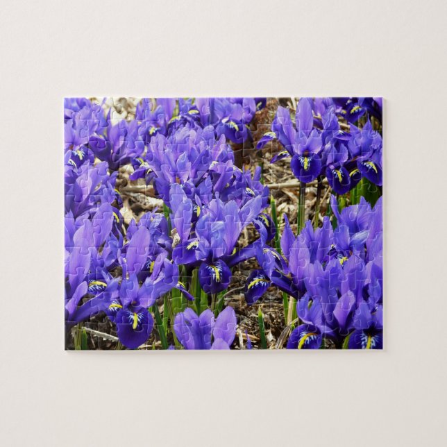 Quebra-cabeça Katherine Hodgkin Irrises Primavera Floral Roxo (Horizontal)