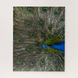 Quebra-cabeça Kauai Peacock