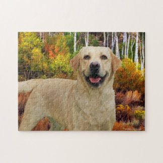 Quebra-cabeça "Kimba"