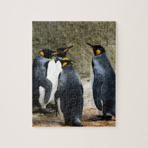 Quebra-cabeça King Penguin