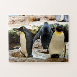 Quebra-cabeça King Penguins