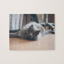 Kit de personalização divertido para gato de estim