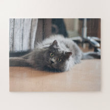 Kit de Personalização Gato Pet Gatinho Diversão