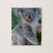 Koala australiano peluches bonito