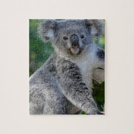 Quebra-cabeça Koala australiano peluches bonito