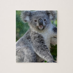 Quebra-cabeça Koala australiano peluches bonito