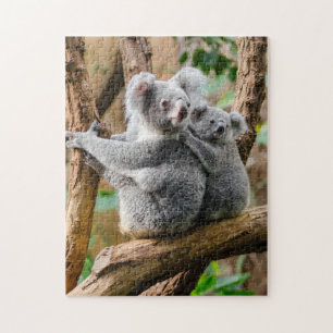 Quebra-cabeça Koala com bebê em árvore na Austrália