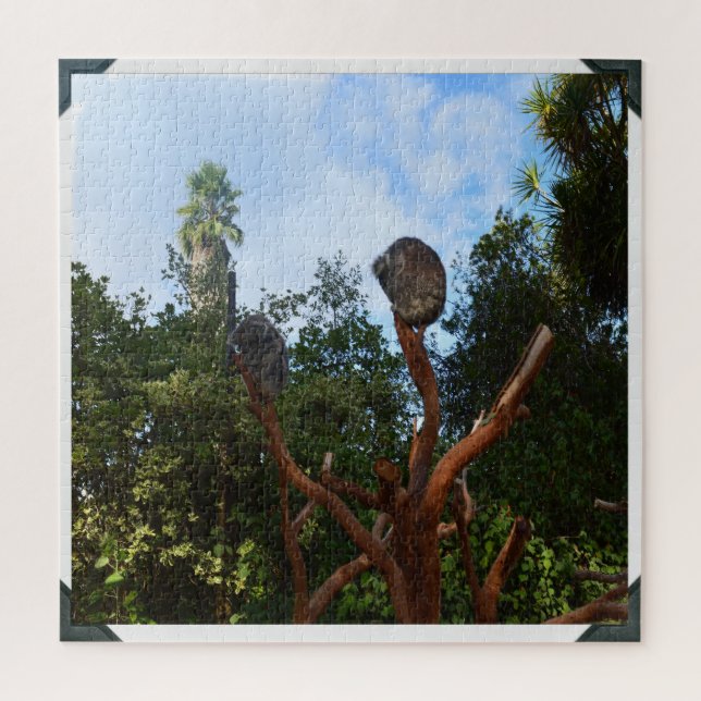 Quebra-cabeça Koala Dorme Em Árvores, (Vertical)