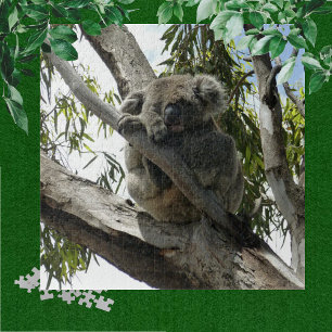 Quebra-cabeça Koala - Dormindo