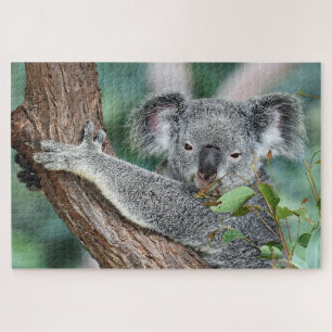Quebra-cabeça Koala em árvore