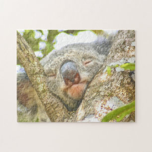 Quebra-cabeça Koala Sleeping