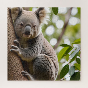 Quebra-cabeça Koala subindo uma árvore