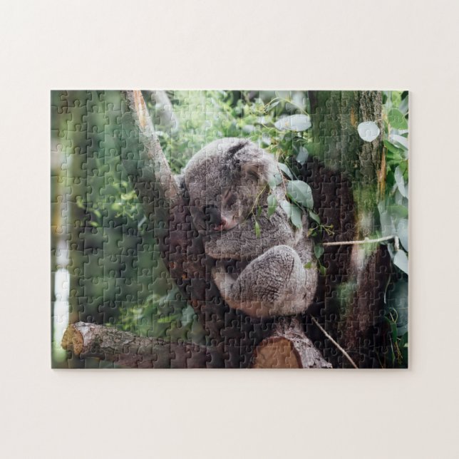Quebra-cabeça Koala Urso Selvagem Dormindo Numa Árvore De Bambu (Horizontal)