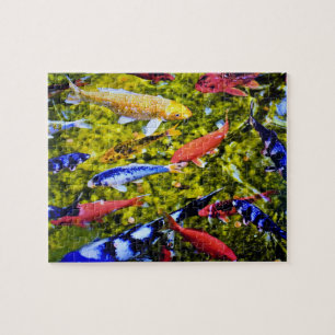 Quebra-cabeça Kolorful Kauai Koi