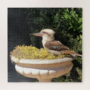 Quebra-cabeça kookaburra