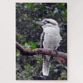 Quebra-cabeça Kookaburra